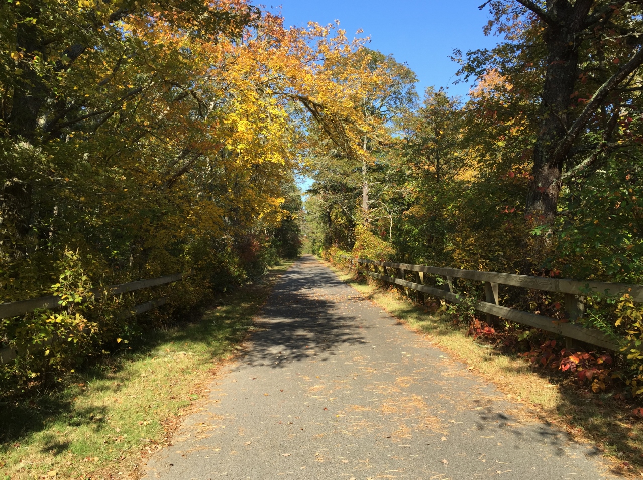 Biking New England Bike paths make for easy and beautiful cycling