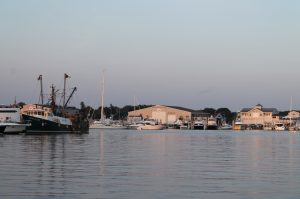 Hyannis harbor tours