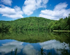 Marsh-Billings-Rockefeller National Historical Park