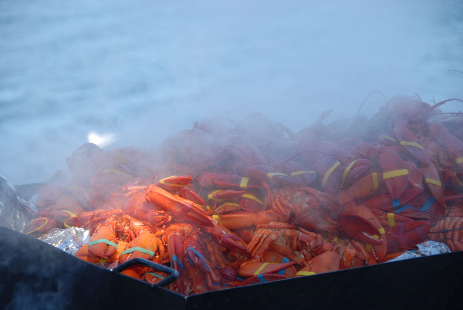 Cabbage Island Clambakes 