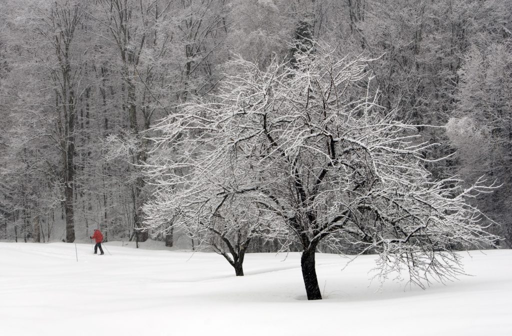 The Most Beautiful Quotes About Snow And Winter New England Living