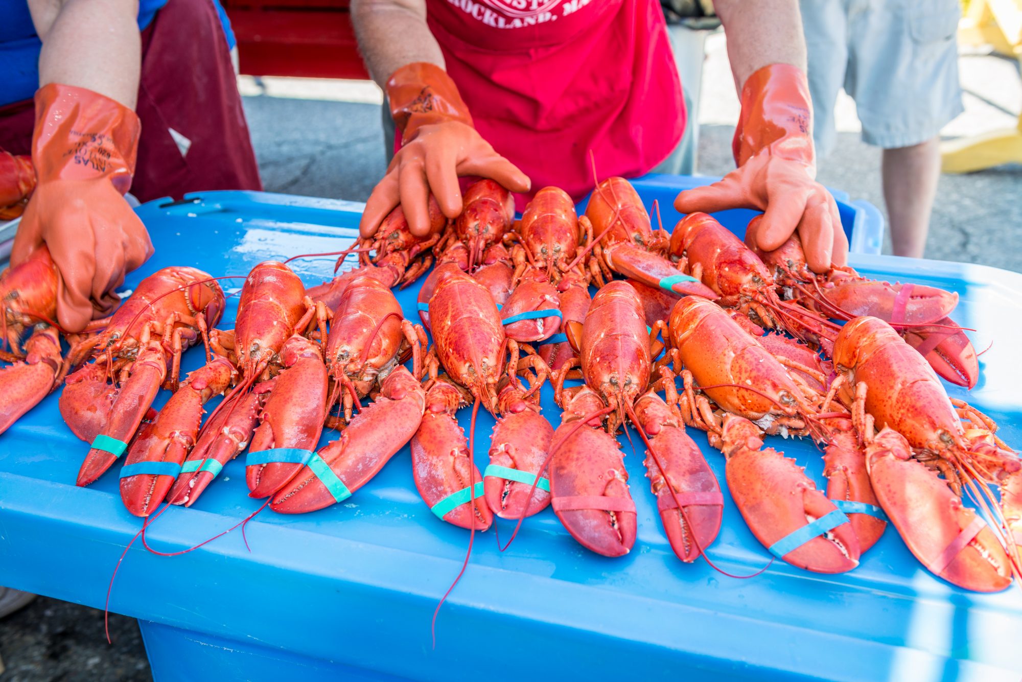 Get Your Seafood Fix At These New England Summer Festivals New