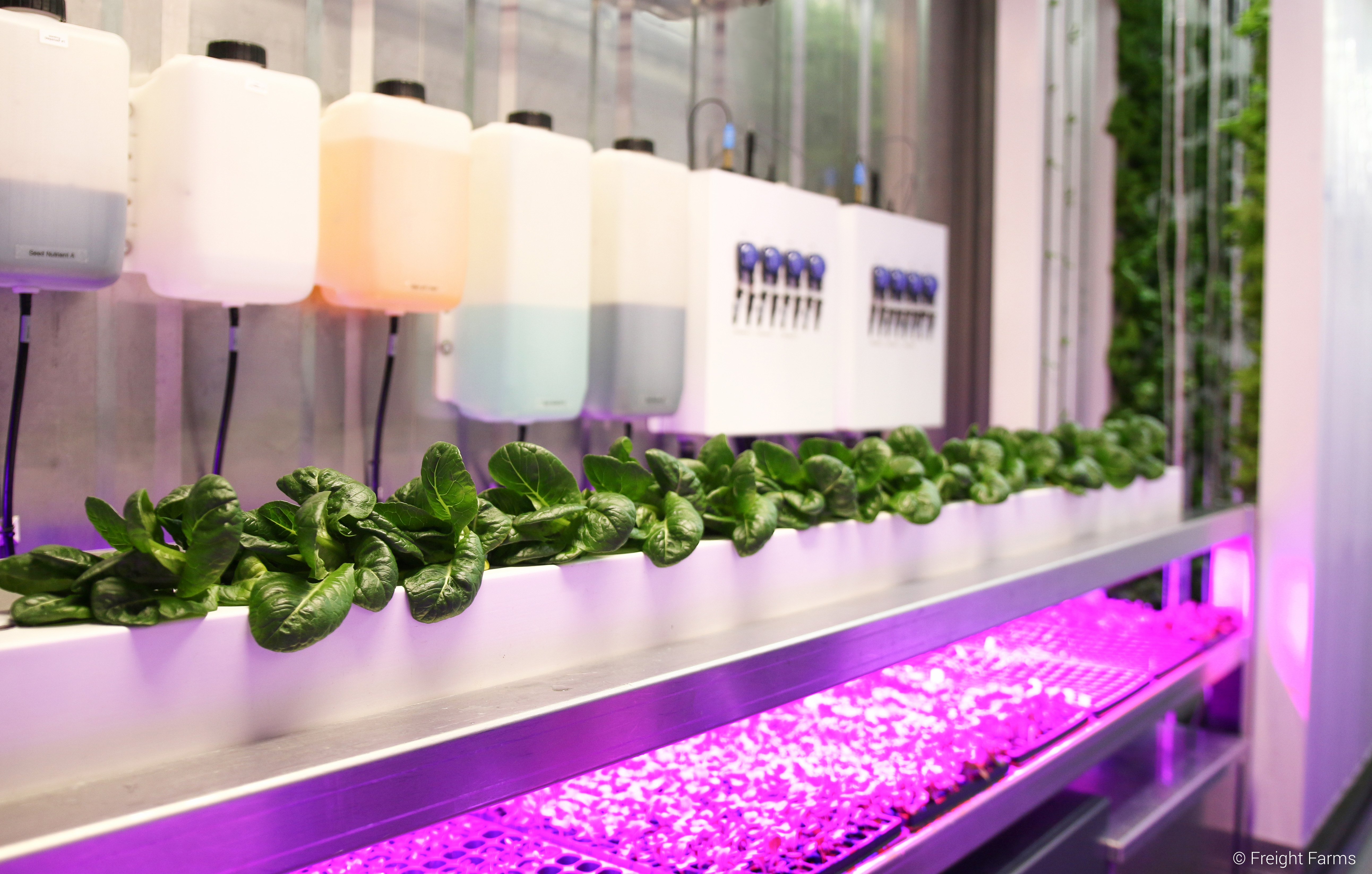 Freight Fresh Container Farming Is Revolutionizing The Farm