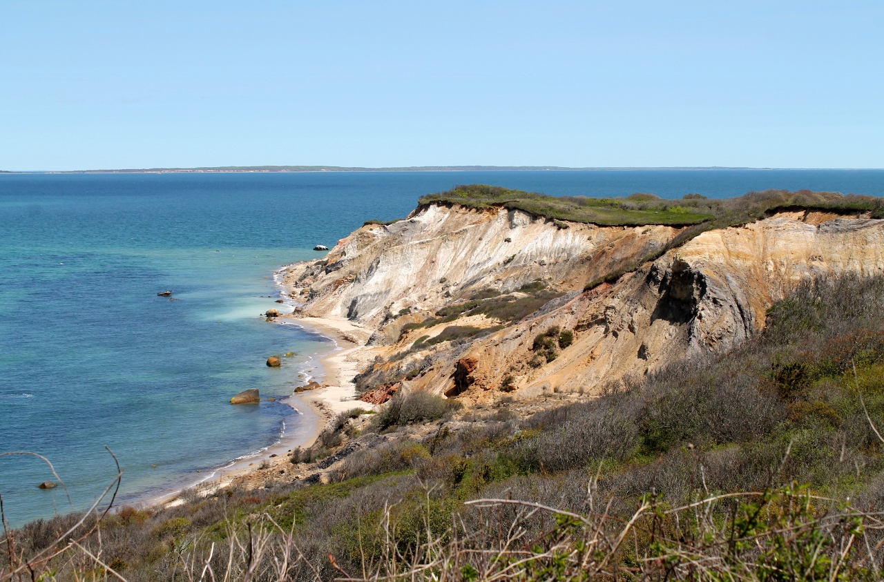 Our Pale Blue Dot - Bluedot Living Martha's Vineyard