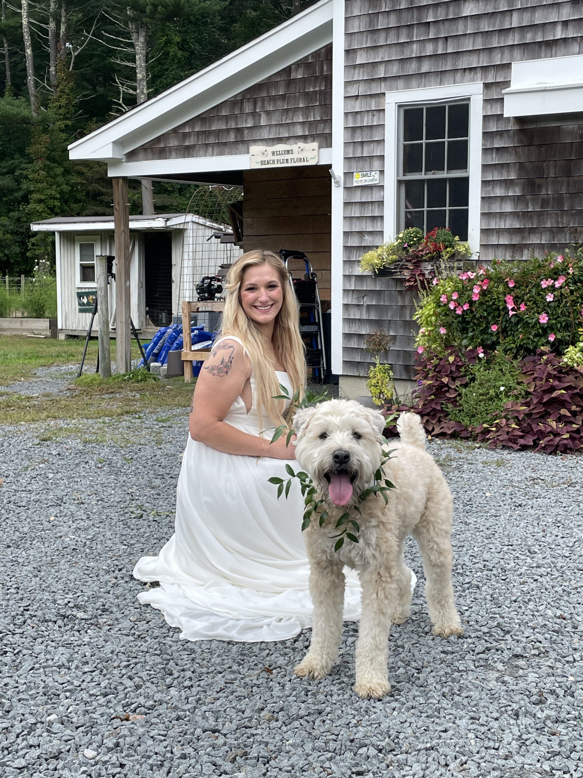 For the Love of Paws