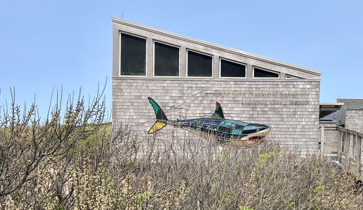 Wash-Ashore Art in Action